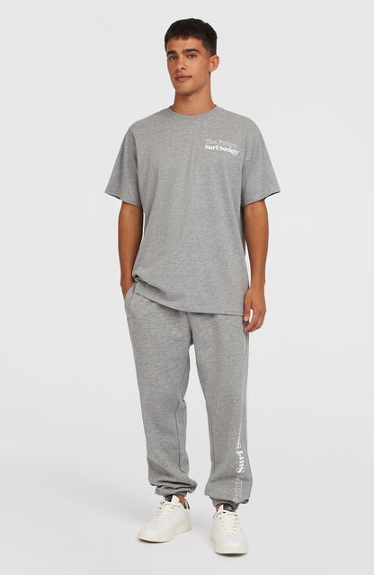 Future Surf Society T-Shirt Men Silver Melee