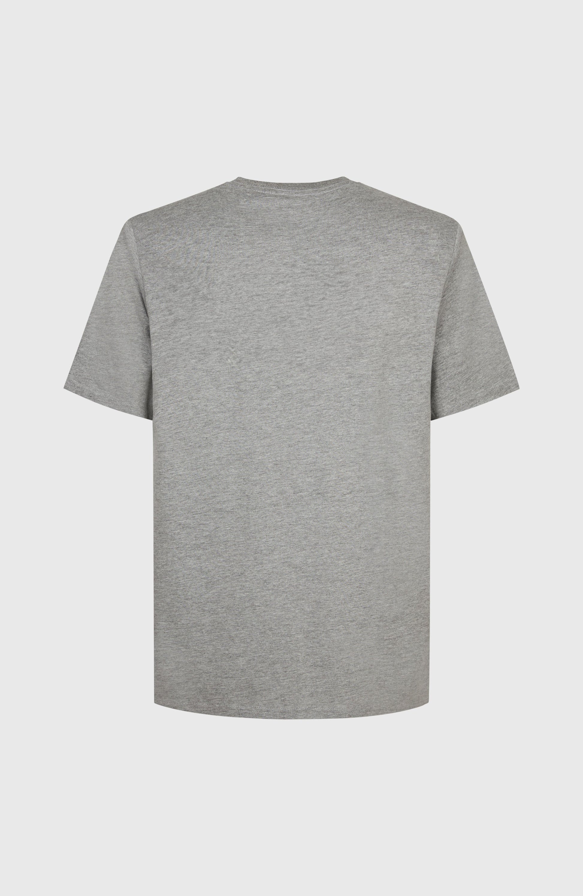 Future Surf Society T-Shirt Men Silver Melee