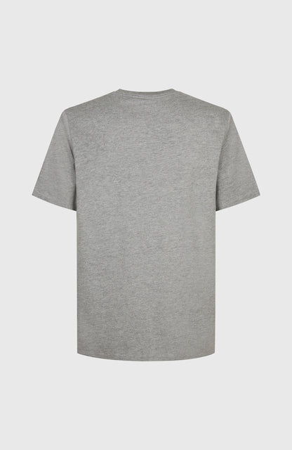 Future Surf Society T-Shirt Men Silver Melee