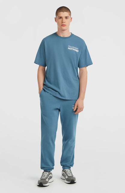 Future Surf Society T-Shirt Men Mozart Blue