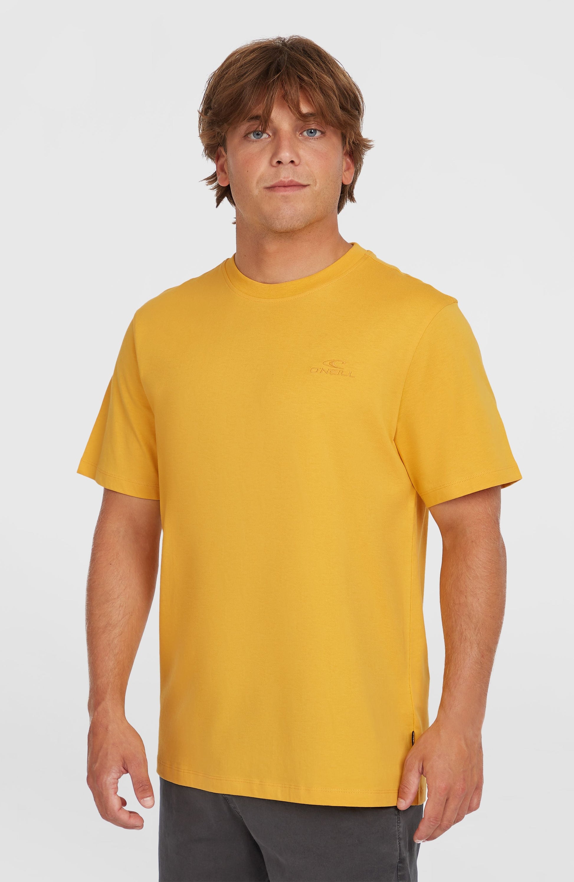 Small Logo T-Shirt Men Golden Haze