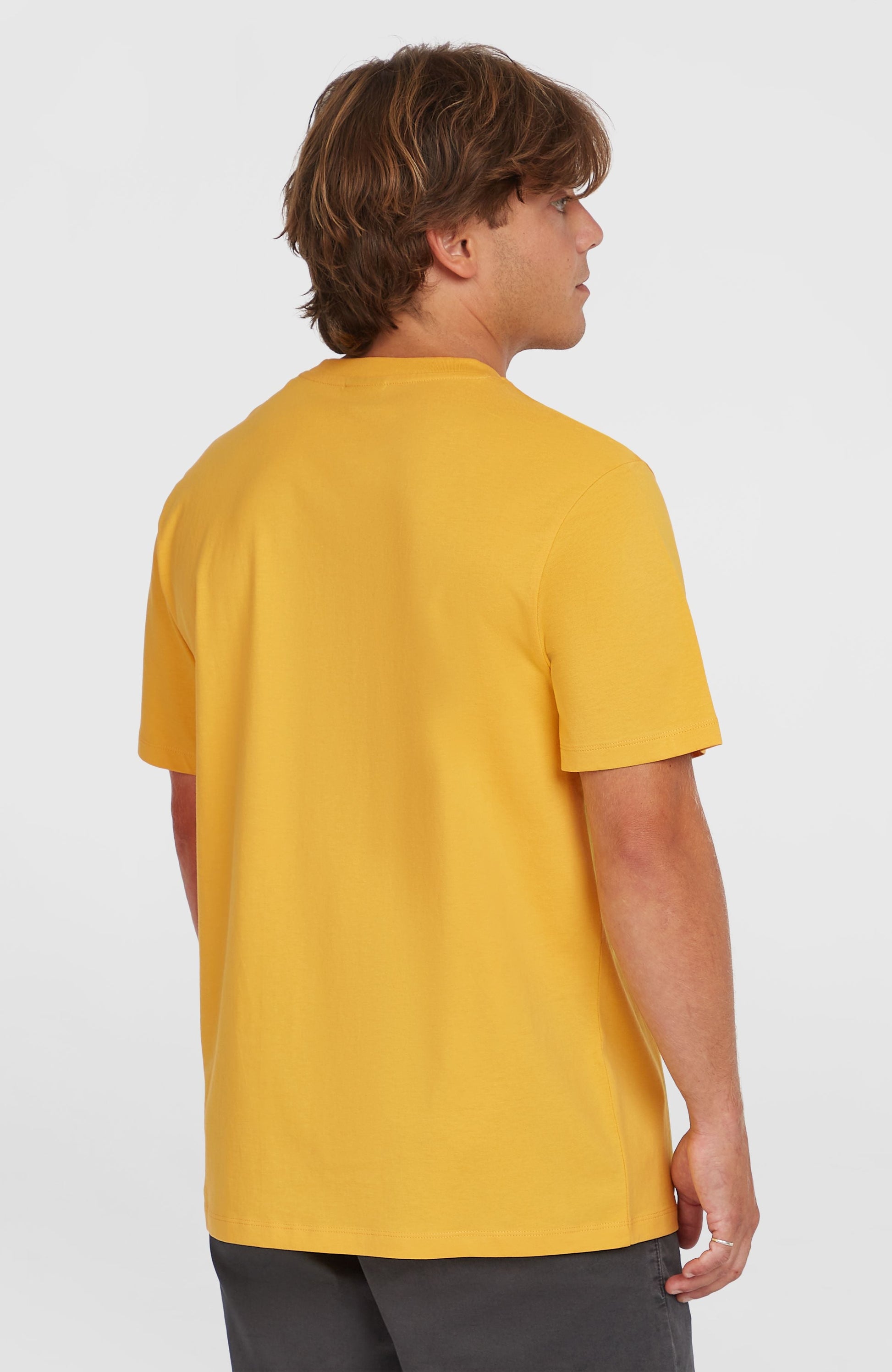 Small Logo T-Shirt Men Golden Haze