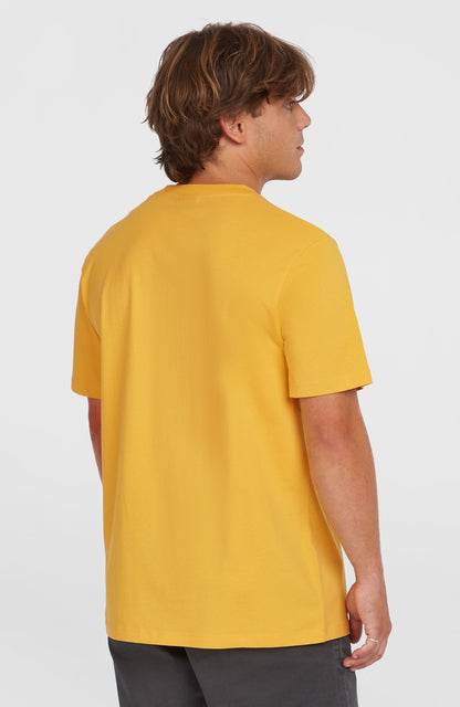 Small Logo T-Shirt Men Golden Haze