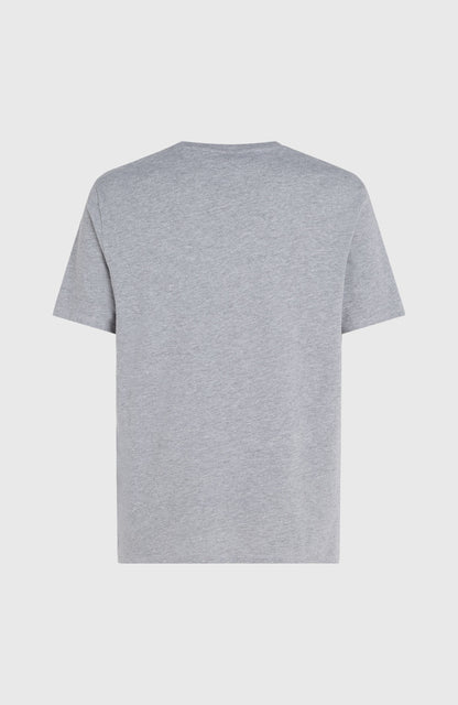 O'Neill Logo T-Shirt Men Silver Melee -A