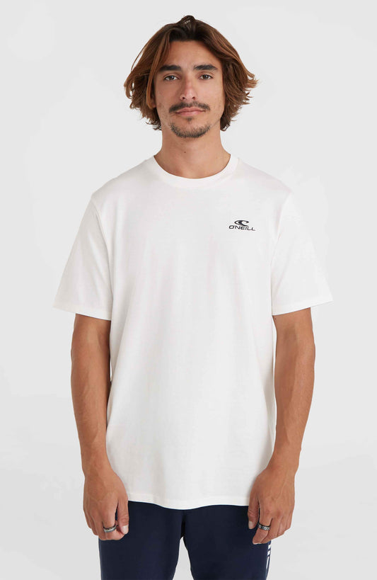 O'Neill Small Logo T-Shirt Men Snow White