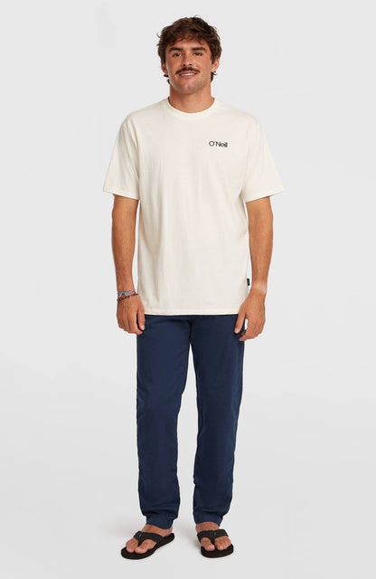 Essentials Chino Pants Men English Evening