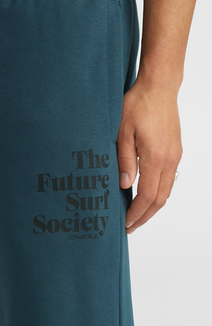 Future Surf Society Sweatpants Men Alma Steel