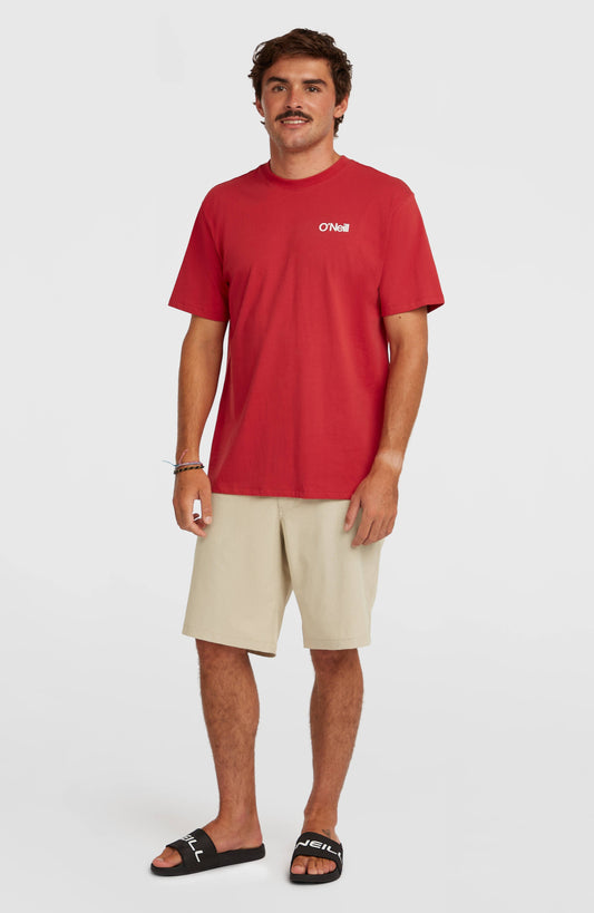 Hybrid 19" Melange Shorts Men Cocoa Sand