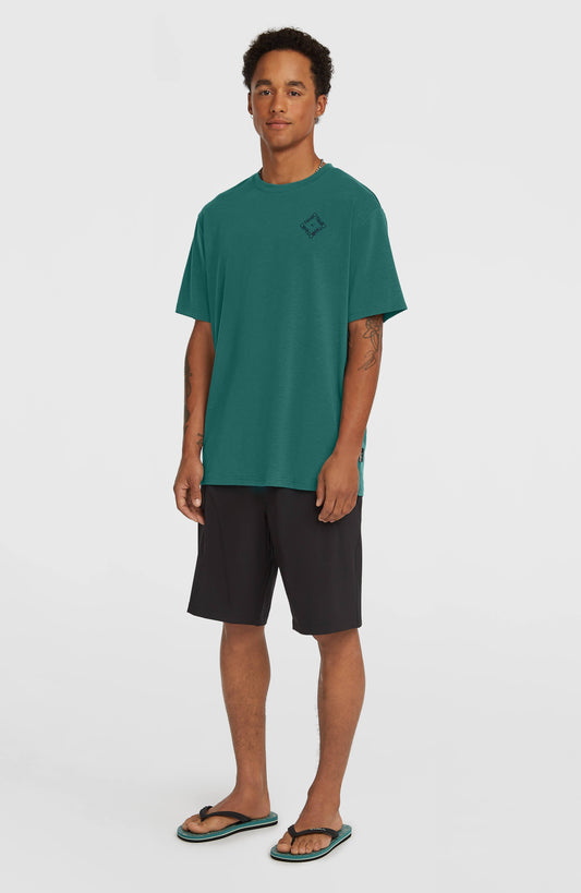 Hybrid 19" Shorts Men Black Out