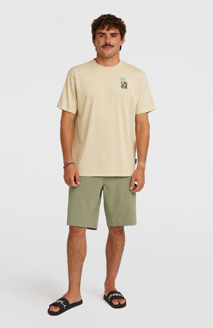 Hybrid 19" Shorts Men Avery Fern