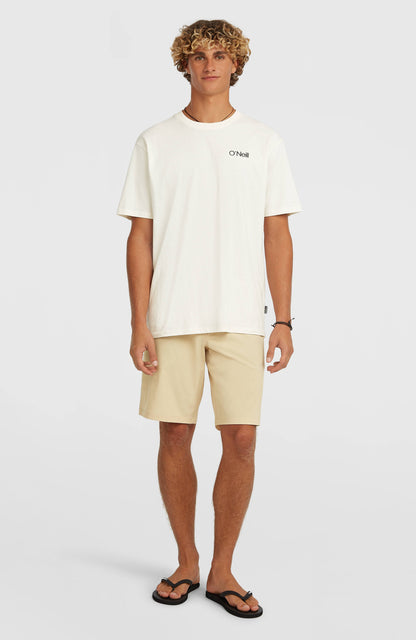Hybrid 19" Shorts Men Cocoa Sand