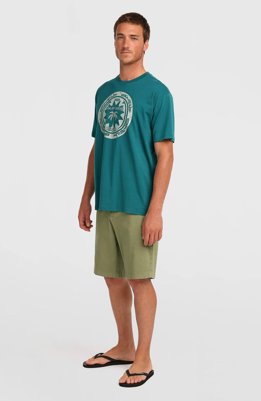 Essentials Chino Shorts Men Avery Fern