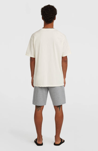 O'Neill Small Logo Sweatshorts Men Silver Melee