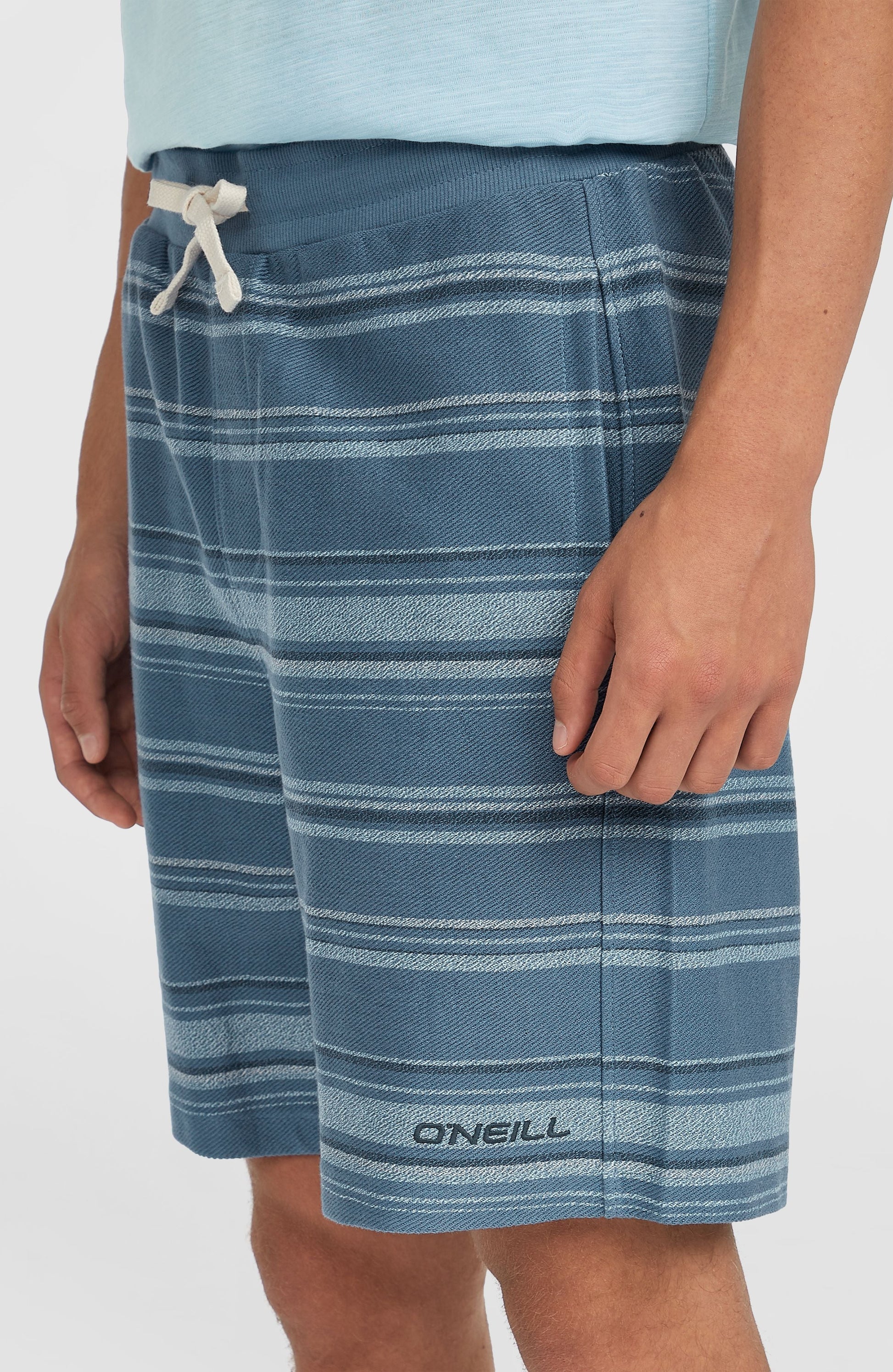 Bavaro Shorts Men Blue Bavaro Stripe