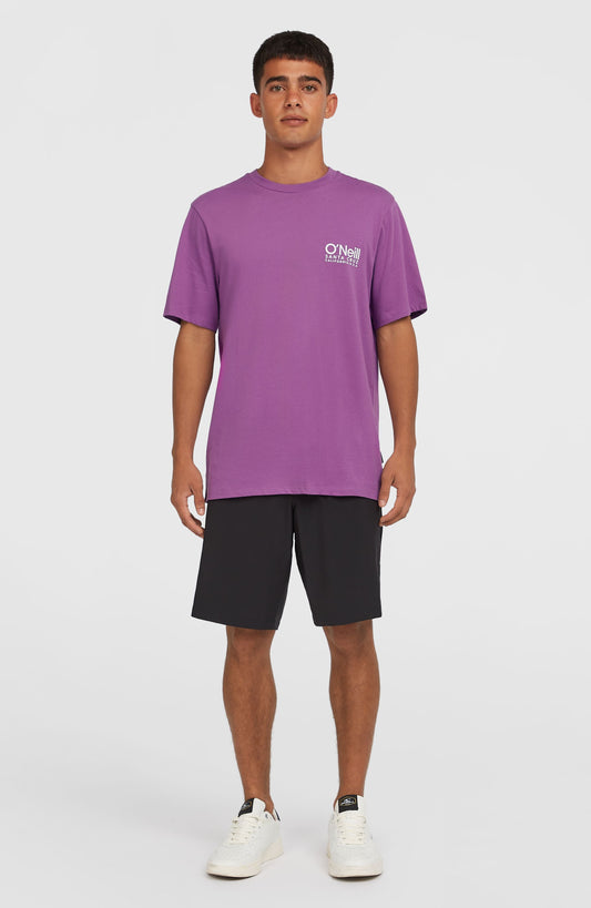 Hybrid Chino 19" Shorts Men Black Out