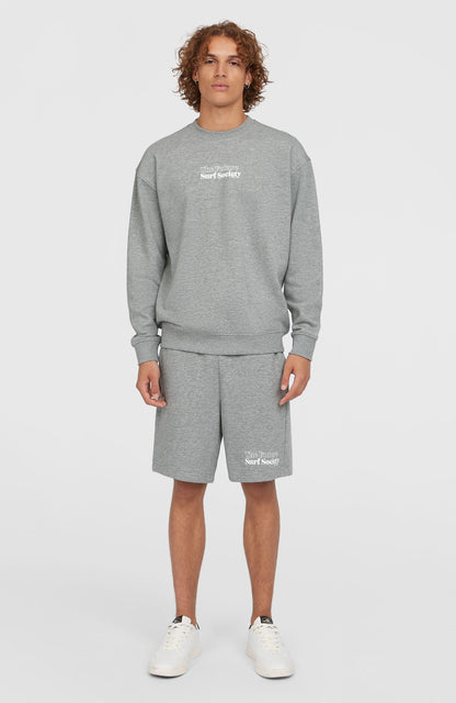 Future Surf Society Shorts Men Silver Melee