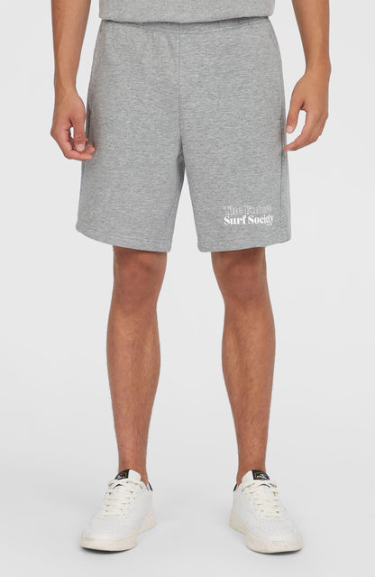 Future Surf Society Shorts Men Silver Melee