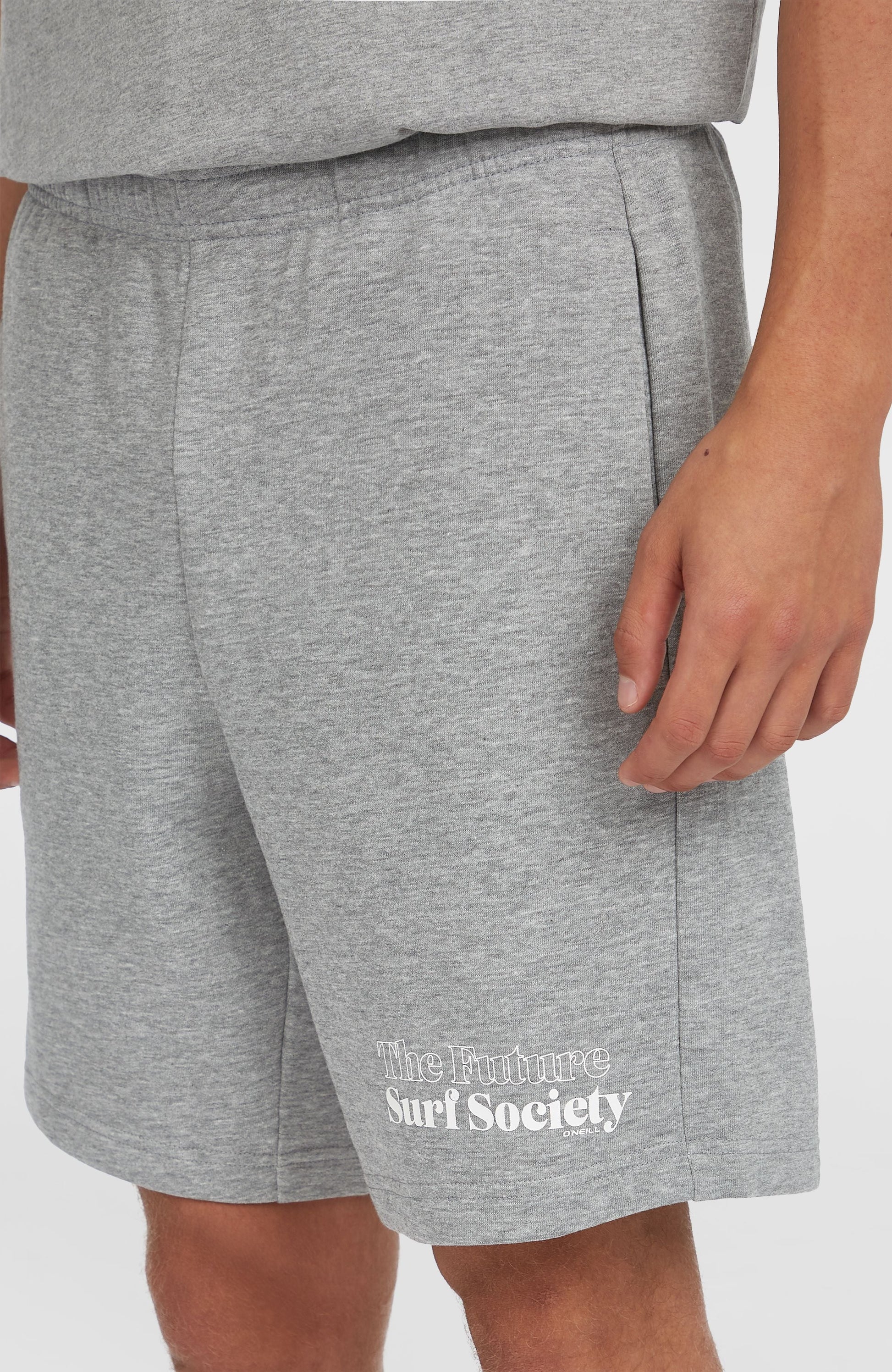 Future Surf Society Shorts Men Silver Melee