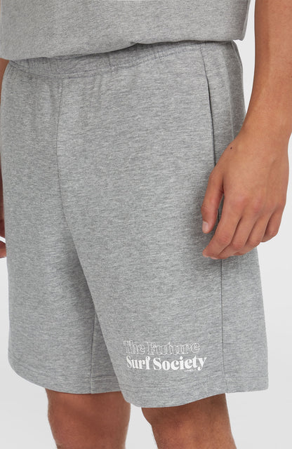 Future Surf Society Shorts Men Silver Melee