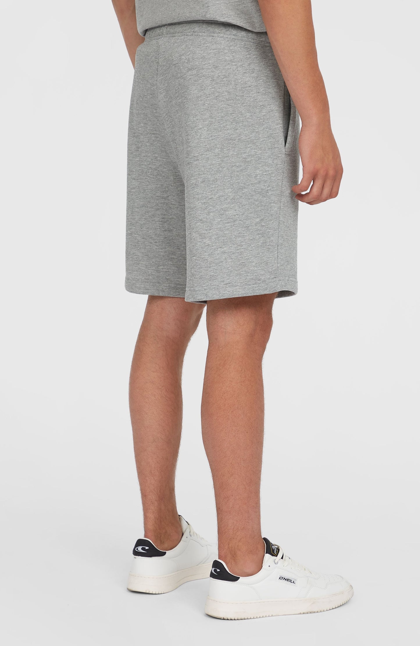 Future Surf Society Shorts Men Silver Melee