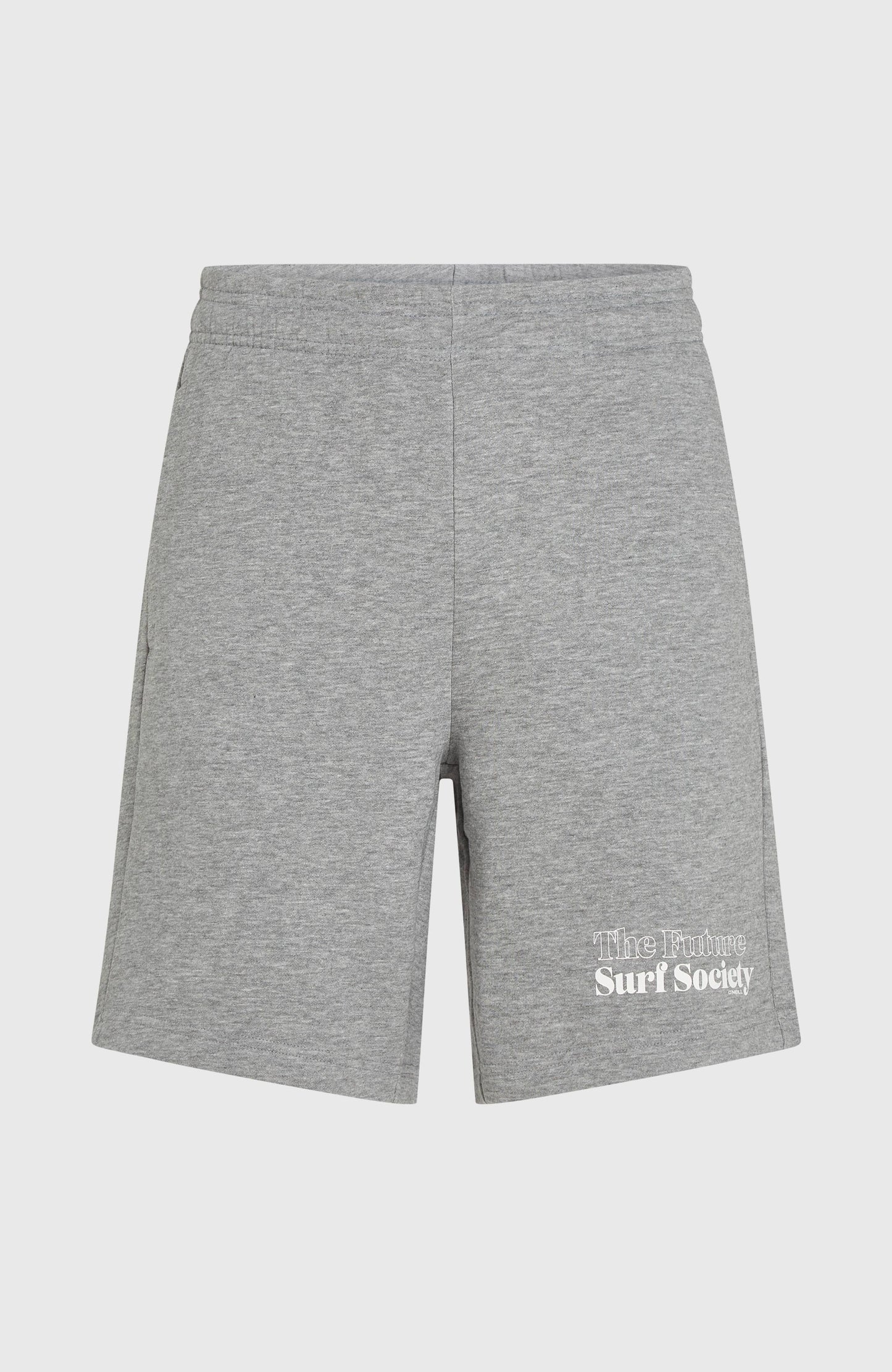 Future Surf Society Shorts Men Silver Melee