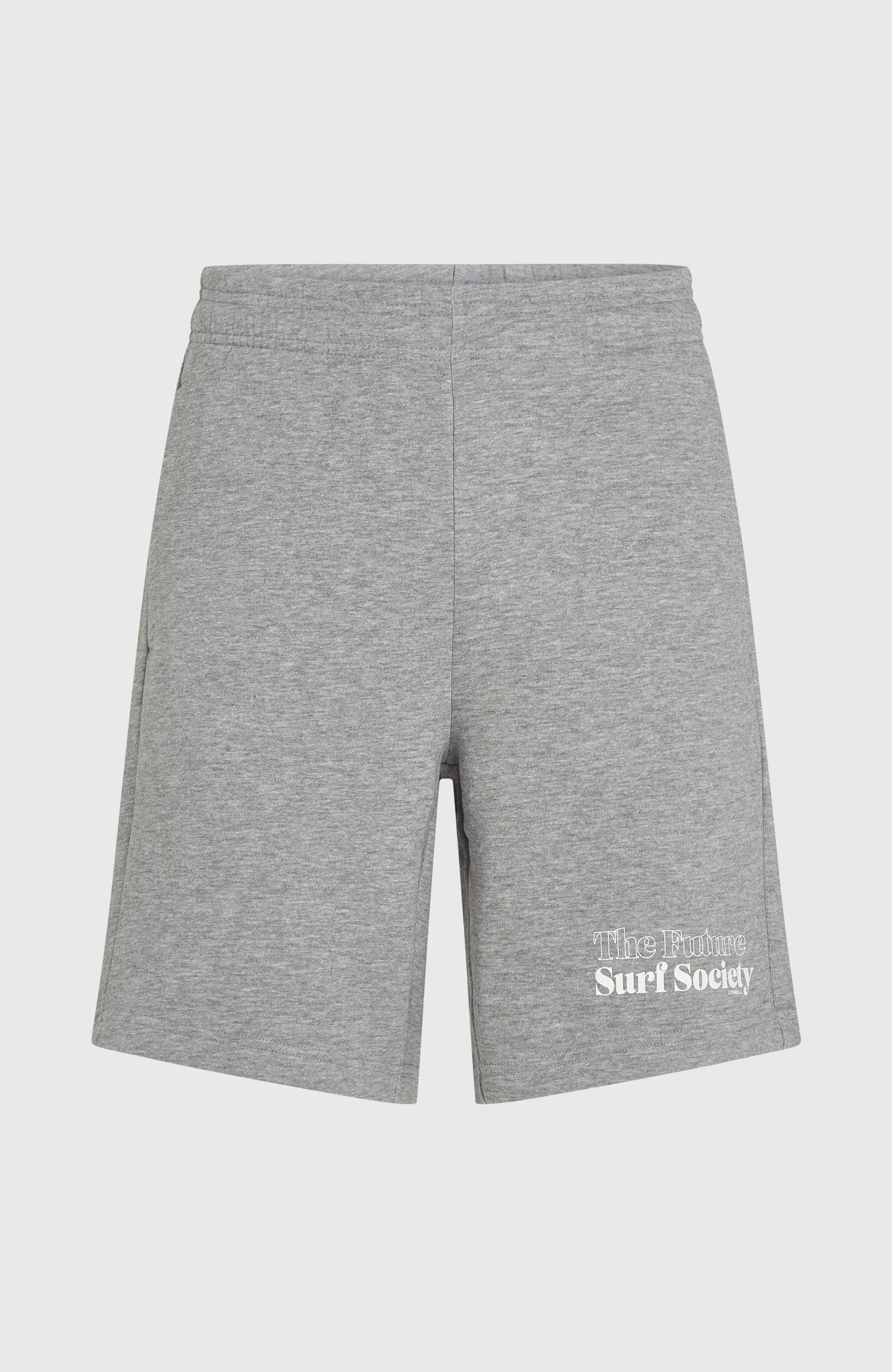 Future Surf Society Shorts Men Silver Melee