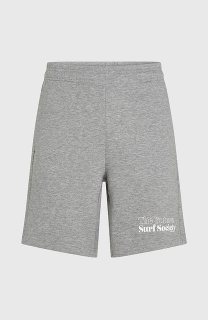 Future Surf Society Shorts Men Silver Melee