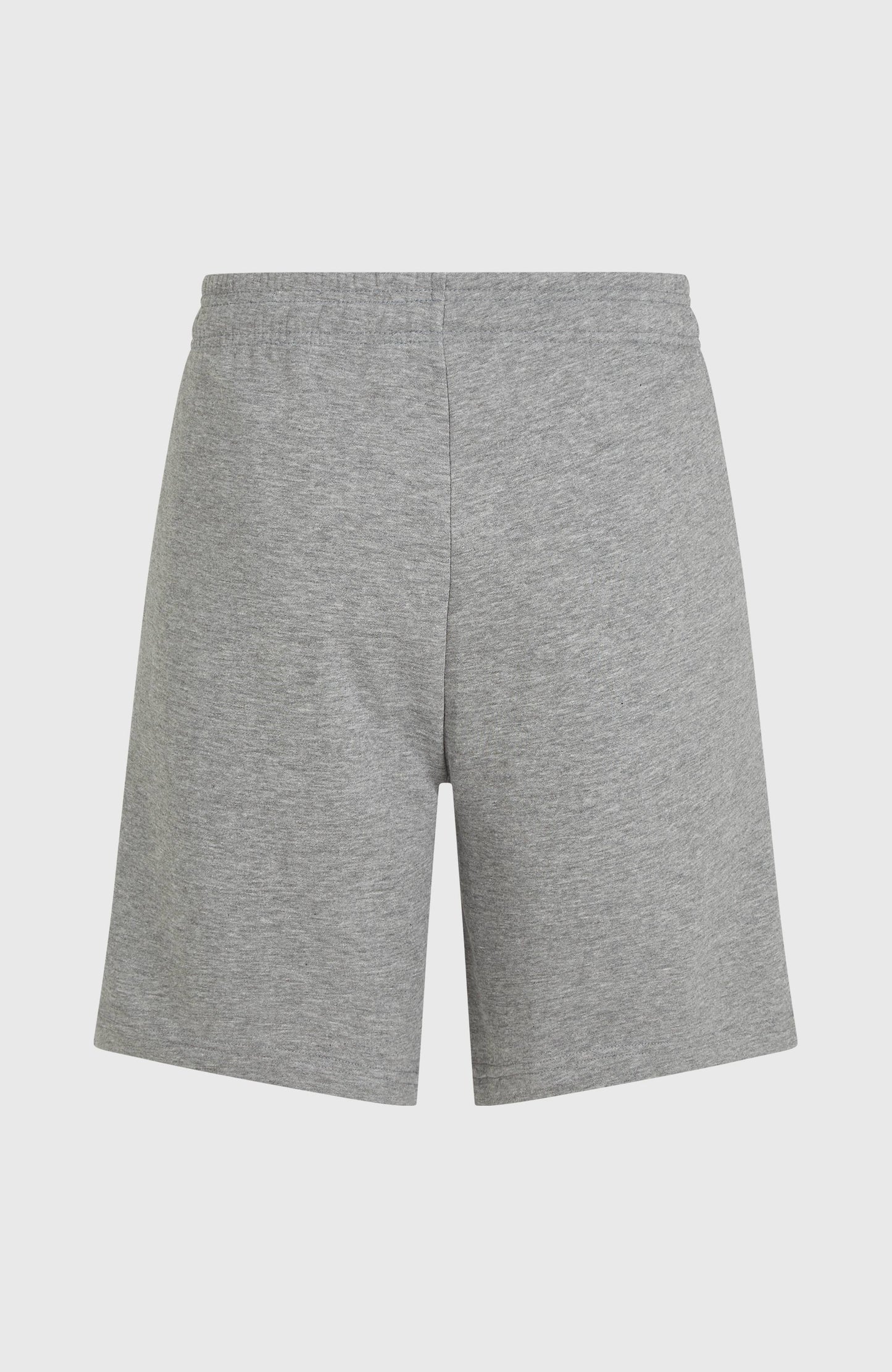 Future Surf Society Shorts Men Silver Melee
