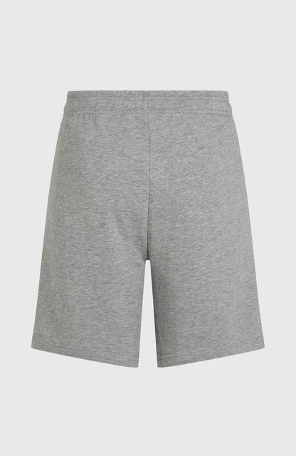Future Surf Society Shorts Men Silver Melee
