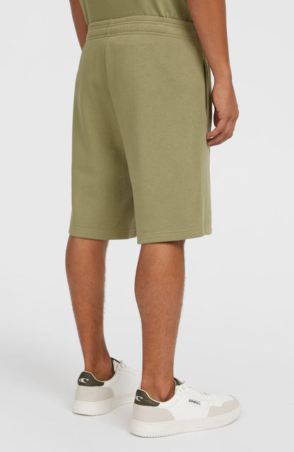 Future Surf Society Shorts Men Avery Fern