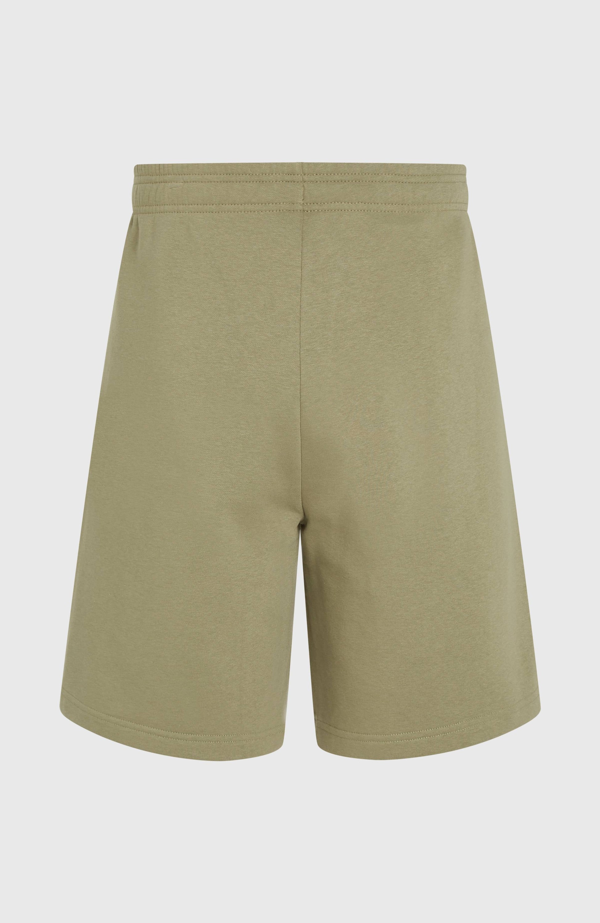 Future Surf Society Shorts Men Avery Fern