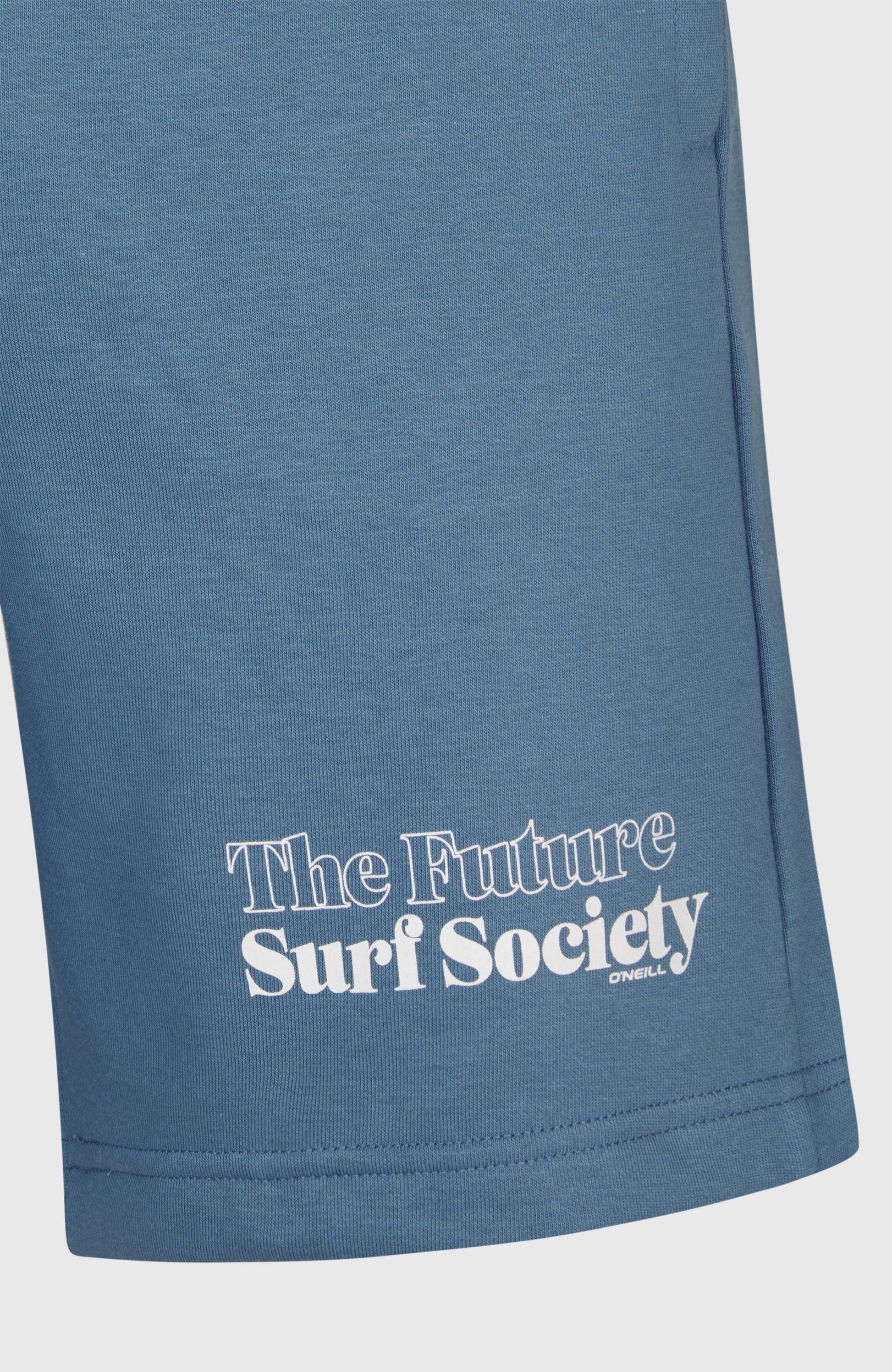 Future Surf Society Shorts Men Copen Blue