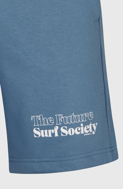 Future Surf Society Shorts Men Copen Blue