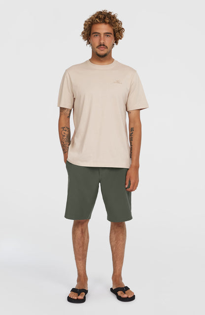 Hybrid Chino 19" Shorts Men Raven
