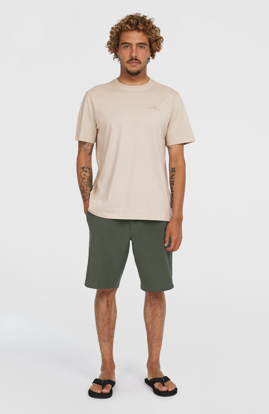 Hybrid Chino 19" Shorts Men Raven