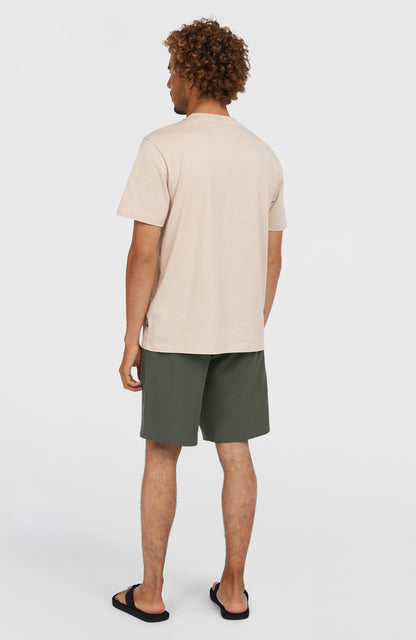 Hybrid Chino 19" Shorts Men Raven