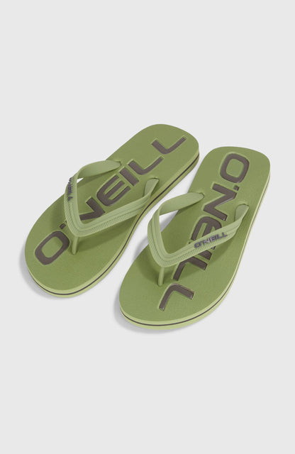 Profile Logo Sandals Men Avery Fern