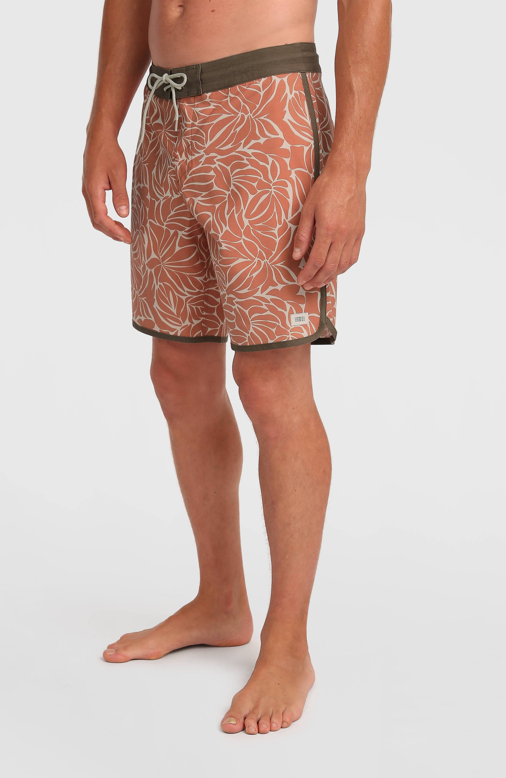 Cruzer Scallop 18'' Boardshorts Men Langoustino Cruzer Scallop