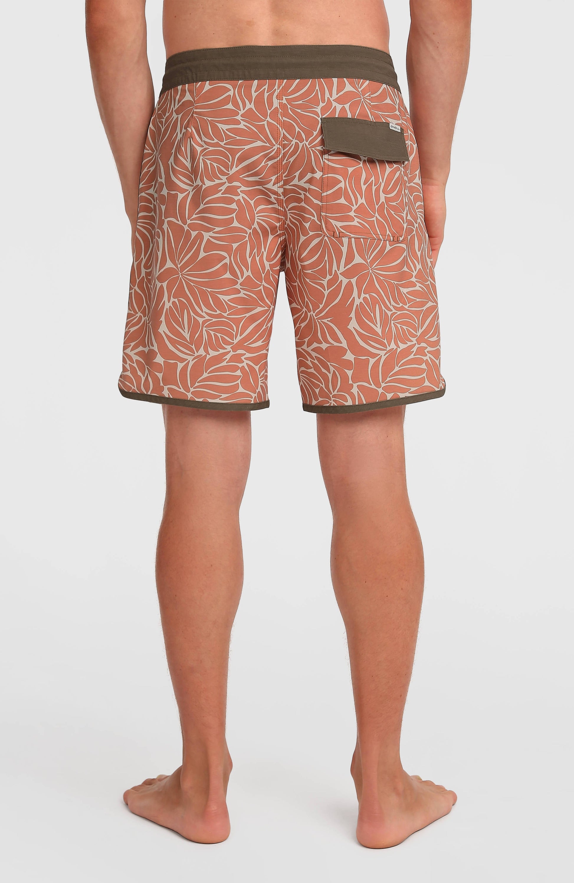 Cruzer Scallop 18'' Boardshorts Men Langoustino Cruzer Scallop