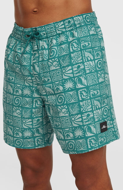 O'Neill Print 16'' Swimshorts Men Blue Bricks