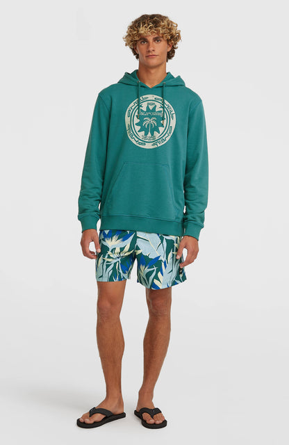 O'Neill Print 16'' Swimshorts Men Blue Tropicana Big