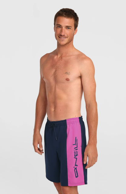 O'Neill Retro 19'' Swimshorts Men English Evening Colour Block