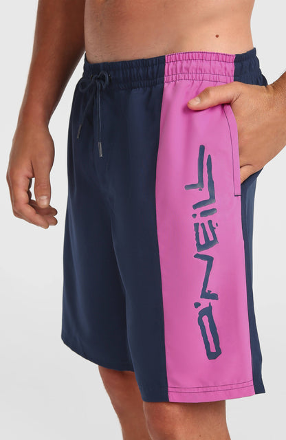 O'Neill Retro 19'' Swimshorts Men English Evening Colour Block