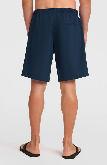 O'Neill Retro 19'' Swimshorts Men English Evening Colour Block