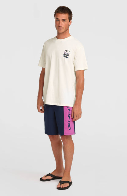O'Neill Retro 19'' Swimshorts Men English Evening Colour Block