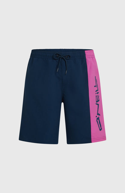 O'Neill Retro 19'' Swimshorts Men English Evening Colour Block