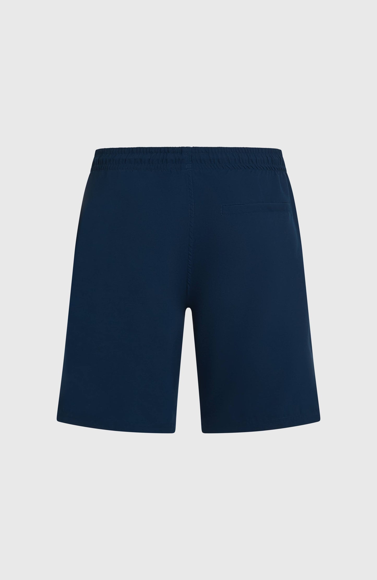 O'Neill Retro 19'' Swimshorts Men English Evening Colour Block