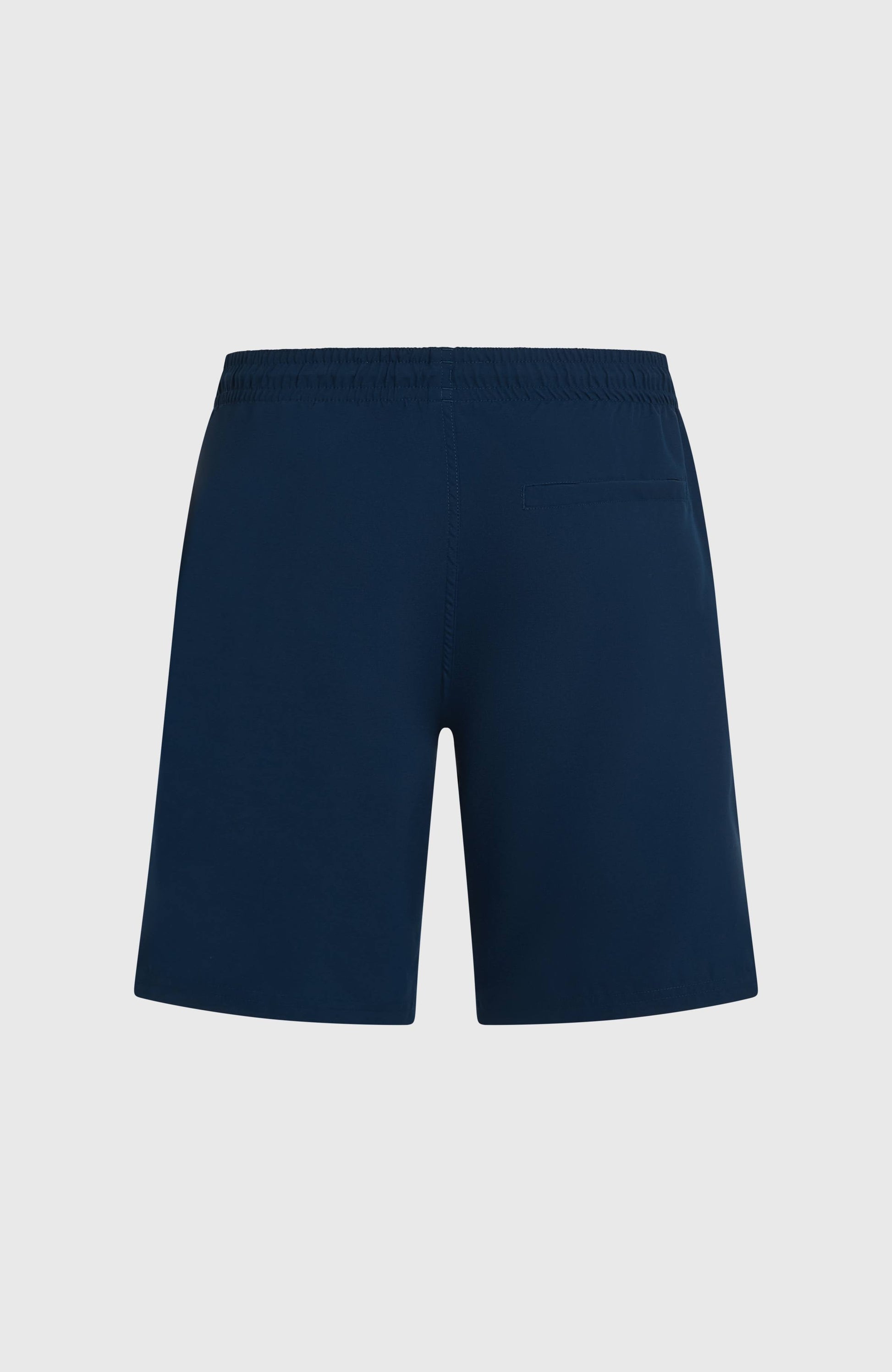 O'Neill Retro 19'' Swimshorts Men English Evening Colour Block