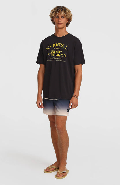 O’Neill Gradient 15'' Swimshorts Men Black Out Gradient Stripe