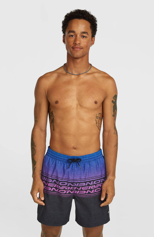 Logo Stripe 16'' Swimshorts Men Blue Heritage O'Neill Stripe